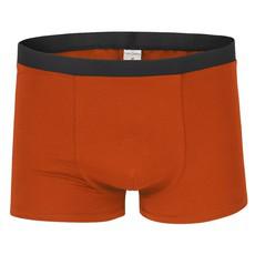 Organic men’s trunk boxer shorts, rust (brown) via Frija Omina