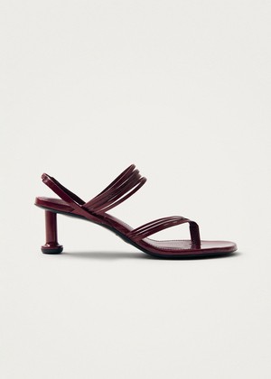 Salsa Burgundy Leather Sandals from Alohas