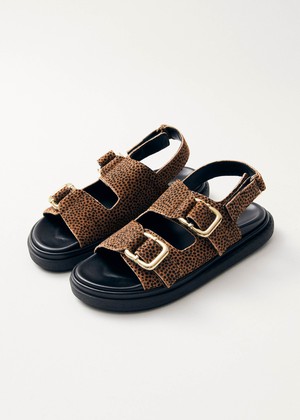 Harper Soft Tan Leather Sandals from Alohas