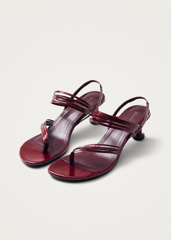 Salsa Burgundy Leather Sandals from Alohas