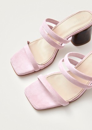 Indiana Pale Pink Leather Sandals from Alohas