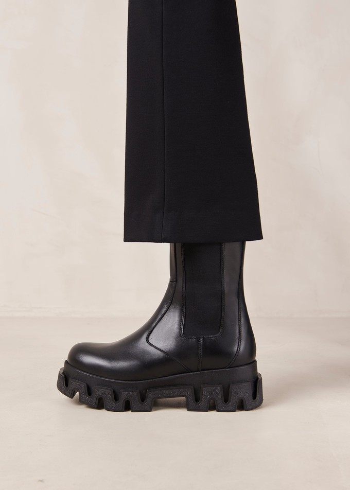 Anastasia Black Leather Ankle Boots from Alohas