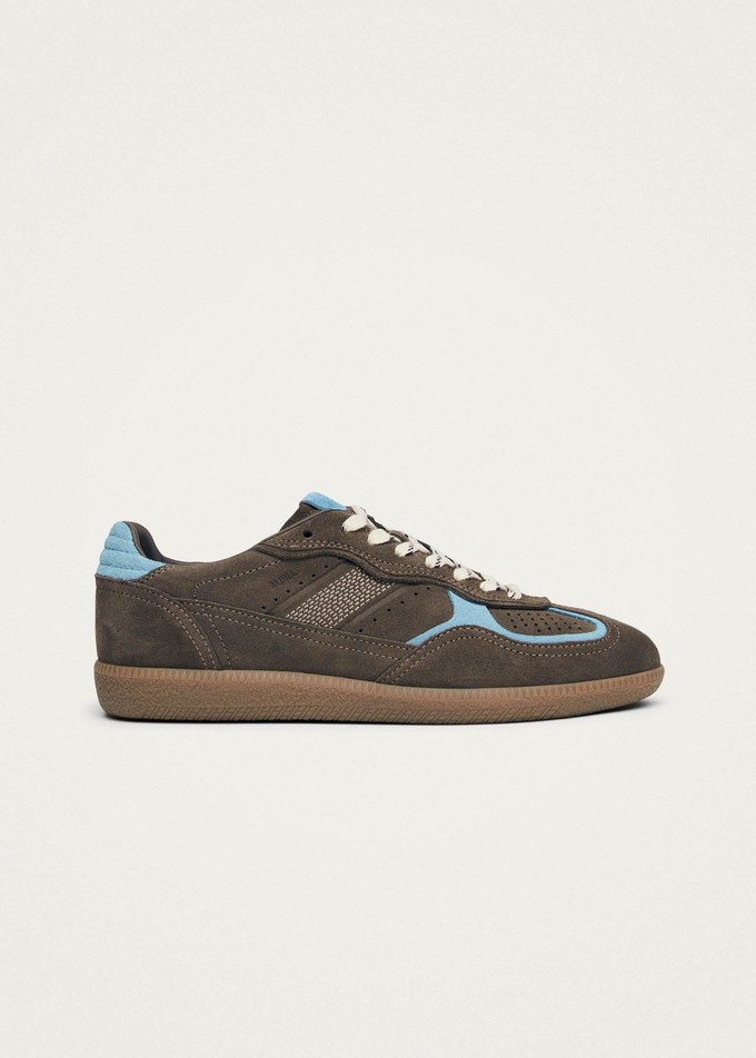 Tb.490 Rife Taupe Cornflower Blue Leather Sneakers from Alohas