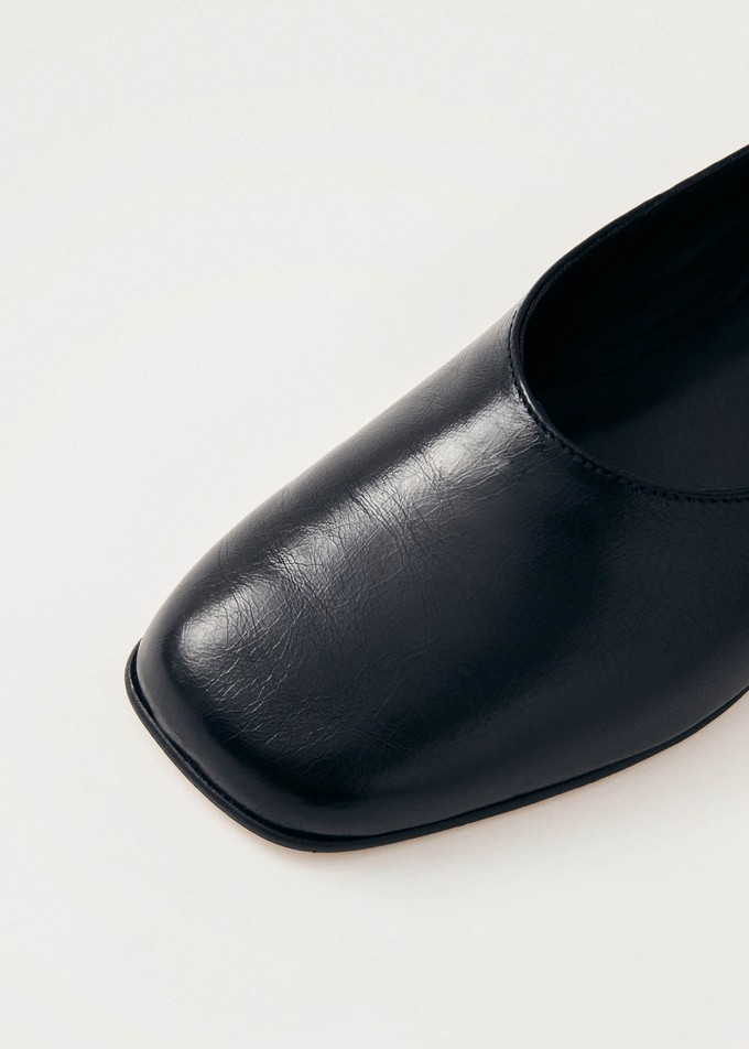 Edie Black Leather Ballet Flats from Alohas