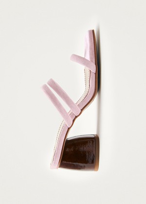 Indiana Pale Pink Leather Sandals from Alohas