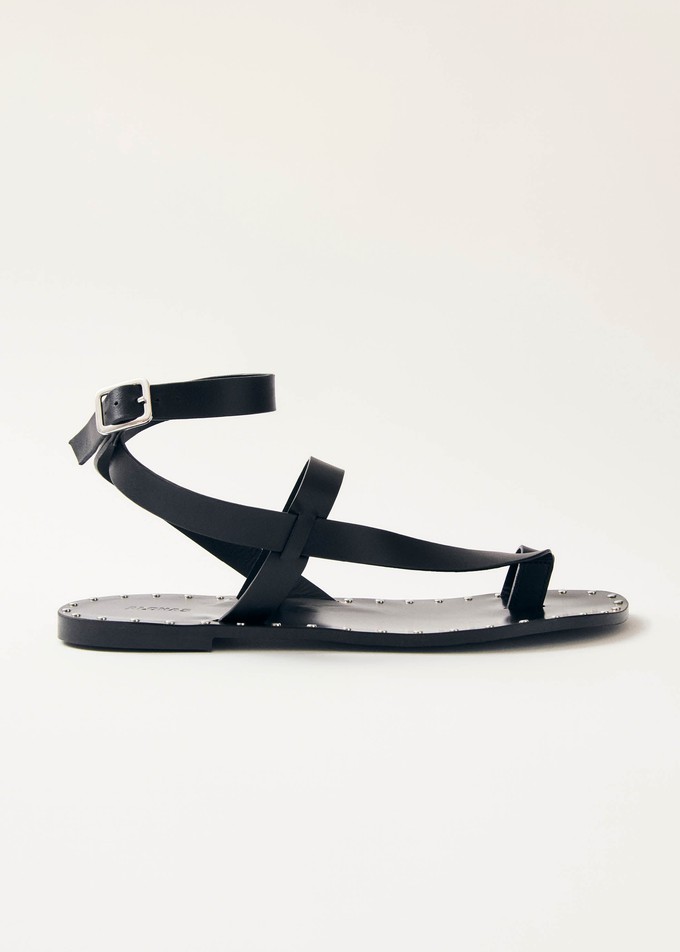 Tallula Black Leather Sandals from Alohas