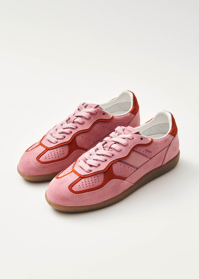 Tb.490 Rife Sea Pink Leather Sneakers from Alohas