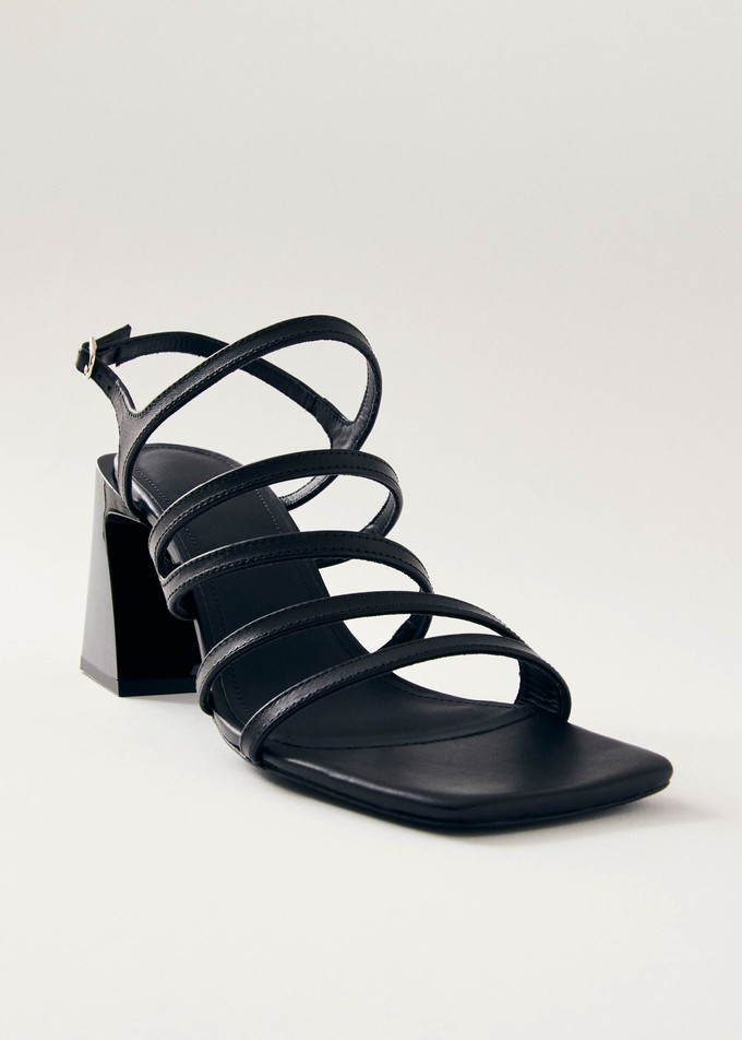 Aubrey Total Black Leather Sandals from Alohas