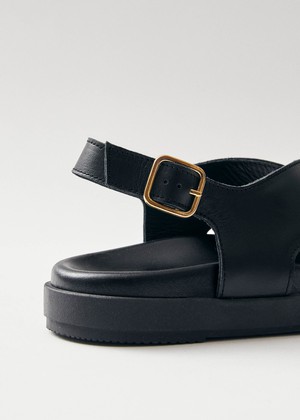 Nico Black Leather Sandals from Alohas
