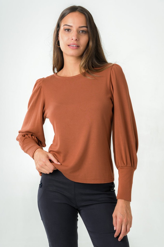 Brown Freesia Top from avani apparel