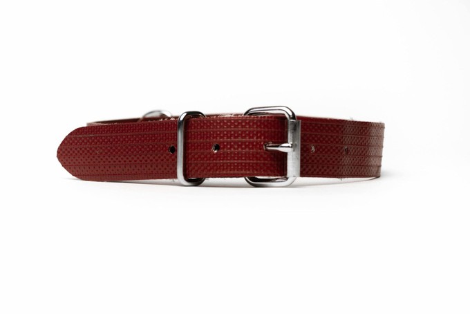 Brandslang Halsband Hond | Vonkie from BENDL