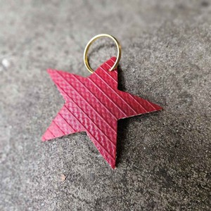 Sleutelhanger | Upcycled Firehose Star from BENDL