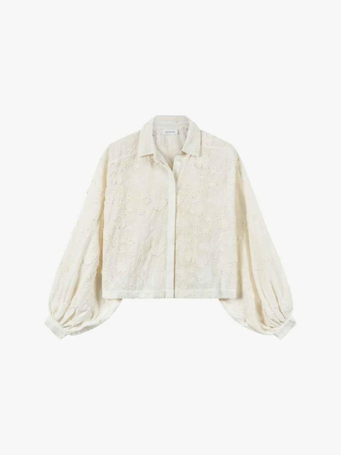 Daisy blouse - ecru from Brand Mission