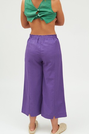 Inca pants  - violet from Brand Mission