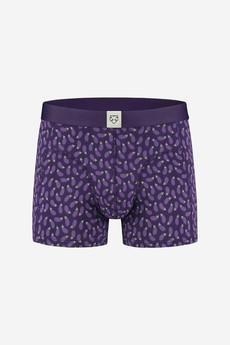 Arthur boxer aubergine print via Brand Mission