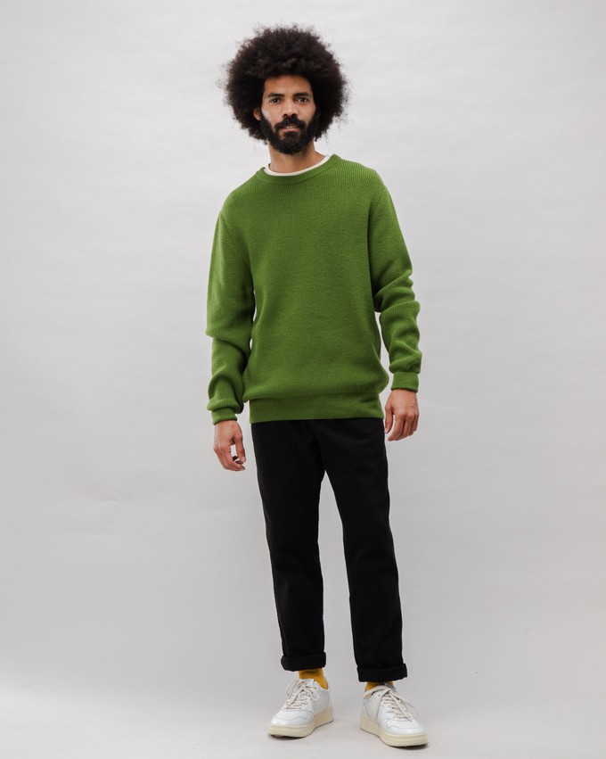 Waterfront Wool Sweater Green from Brava Fabrics