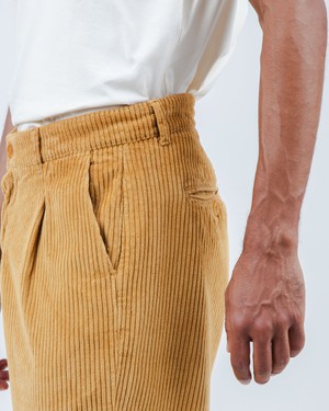 Corduroy Pleated Chino Pants Camel from Brava Fabrics