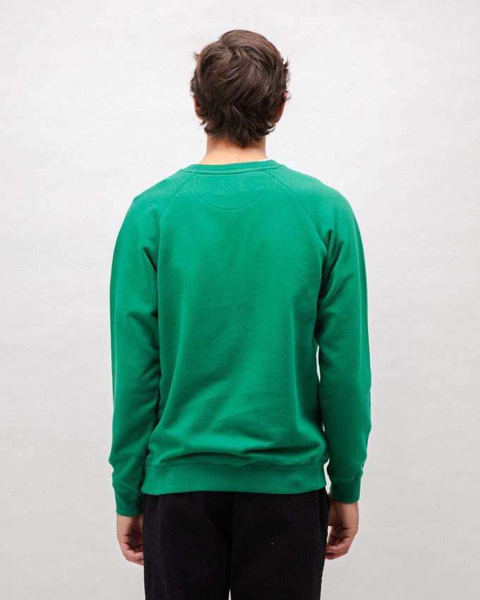 Peanuts Snow Cotton Sweatshirt Green from Brava Fabrics