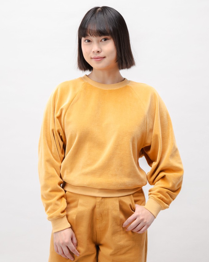 Velvet Raglan Cotton Sweatshirt Ochre from Brava Fabrics