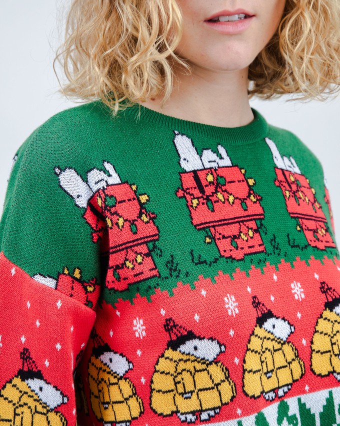 Peanuts Xmas Cotton Sweater Multicolor from Brava Fabrics