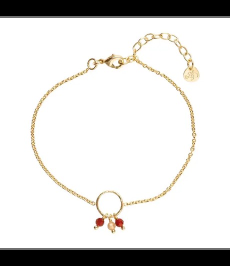 A BEAUTIFUL STORY •• Careful Carnelian Citrine Bracelet GP | Goud from De Groene Knoop