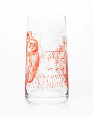 Glas anatomisch hart from Fairy Positron