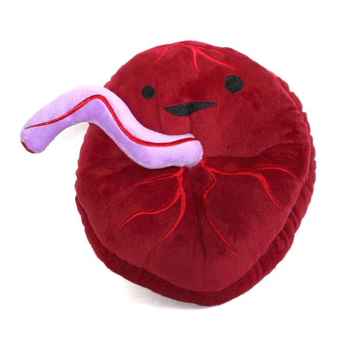 Knuffel placenta - Baby’s First Roommate from Fairy Positron