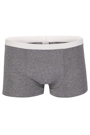 Organic men’s trunk boxer shorts, tinged in grey from Frija Omina