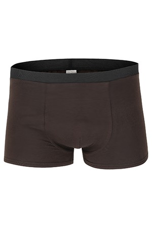 Organic men’s trunk boxer shorts, brown from Frija Omina