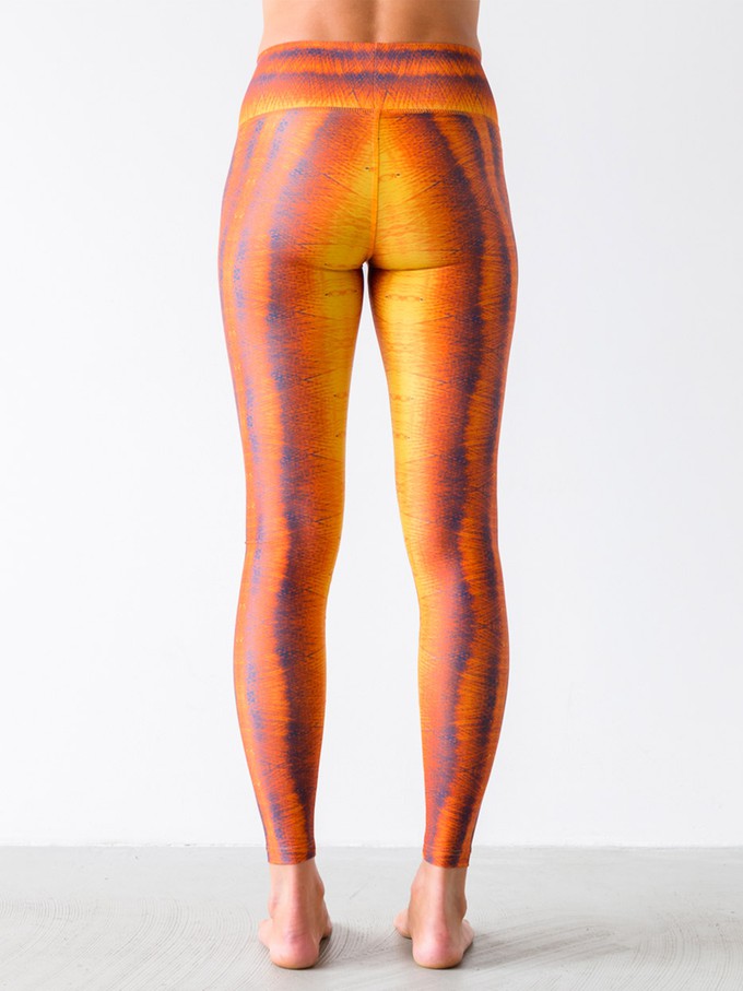 Yoga Leggings Winddrawings Yellow from Hoessee