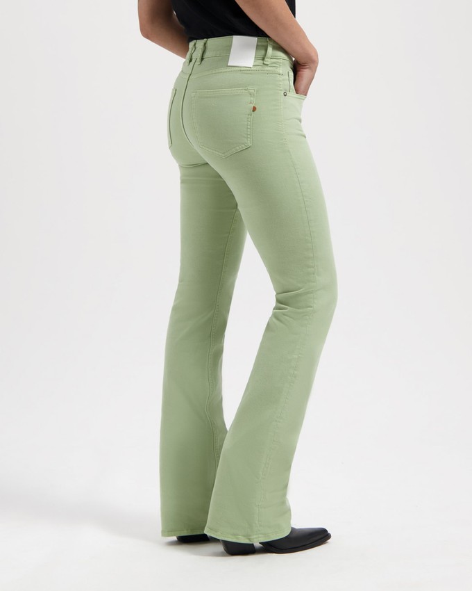 Amy Bootcut Sage green from Kuyichi