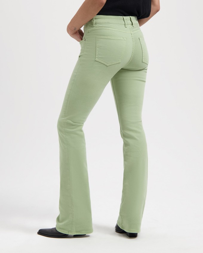 Amy Bootcut Sage green from Kuyichi