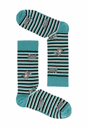 Greenbomb sokken koala stripes from Lotika