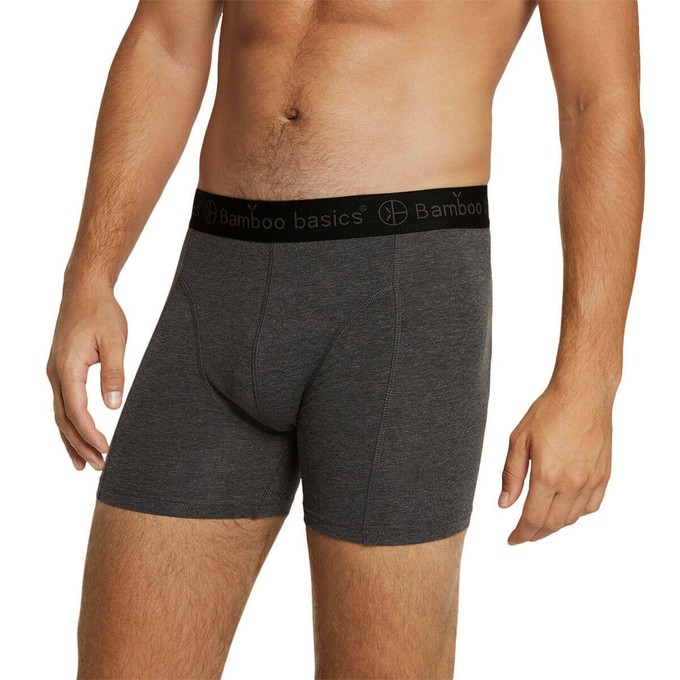 Bamboo Basics bamboe boxershorts Rico – grijs - maat L from Lotika