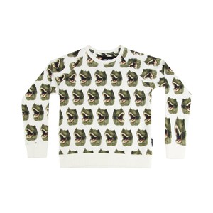 Dino Sweater Kinderen from SNURK