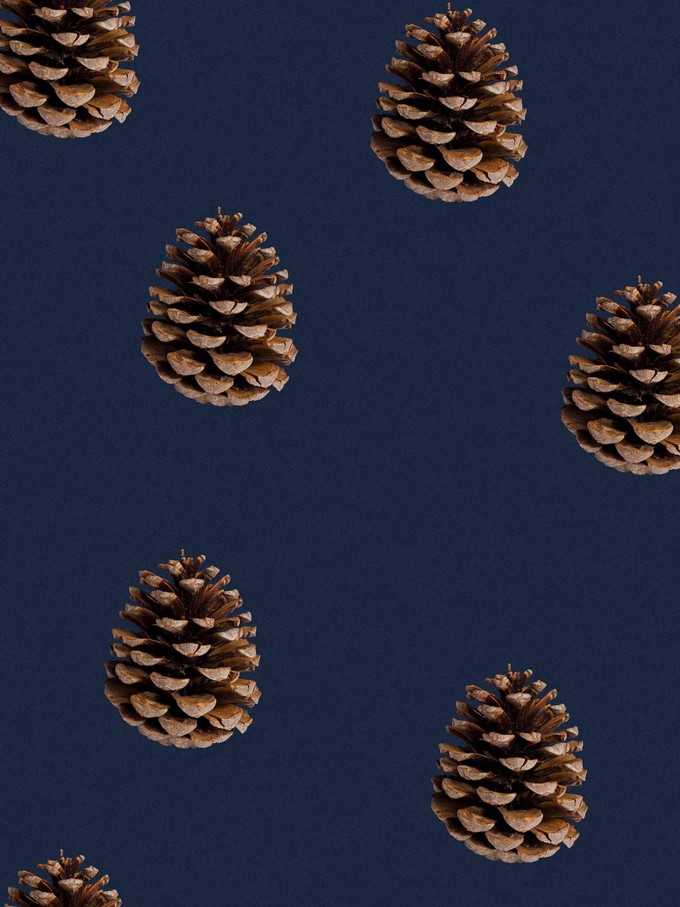 Pinecones Wijde Broek Dames from SNURK