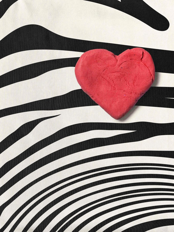 Zebra Love V-neck T-shirt Dames from SNURK