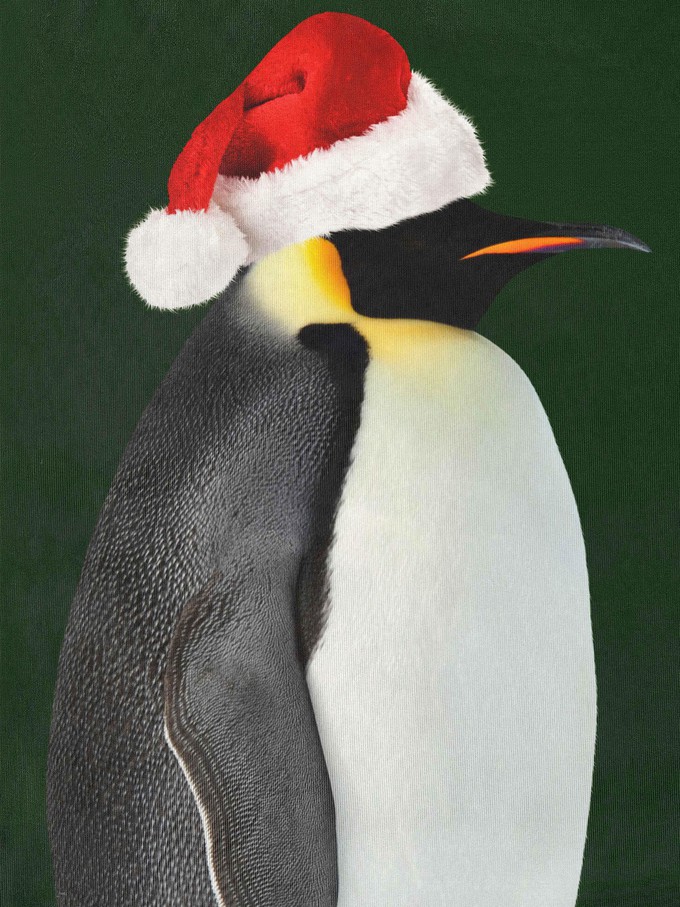 Penguin Xmas Sweater Heren from SNURK