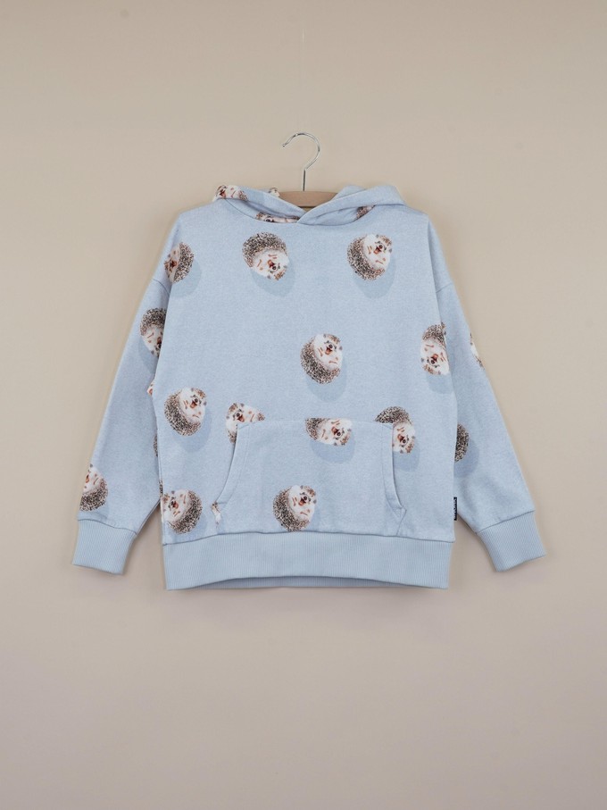 Hedgy Grey Oversized Hoodie Kinderen from SNURK