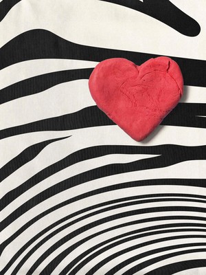 Zebra Love T-shirt Kinderen from SNURK