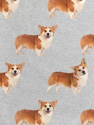 Corgi Time Sweater Dames from SNURK