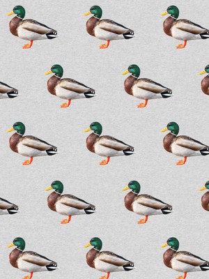 Quack! T-shirt lange mouwen en Wijde broek set Dames from SNURK