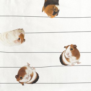 Cavia White T-shirt Kinderen from SNURK