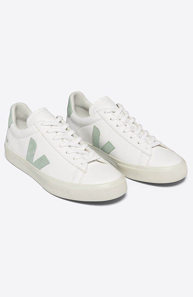 Campo white matcha sneaker from Sophie Stone