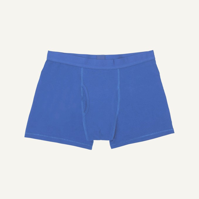 Organic Cotton Men's Boxer Brief in Gale from Subset