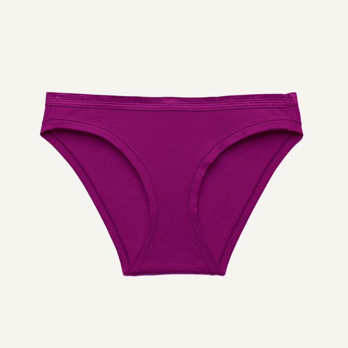 SALE Low-Rise Bikini in Sugar Plum from Subset