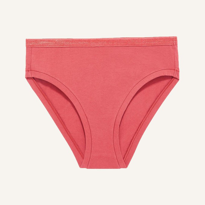 SALE Mid-Rise Bikini in Melon from Subset