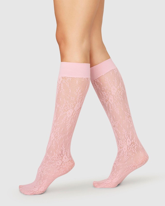 Rosa Lace Knee-Highs from Swedish Stockings