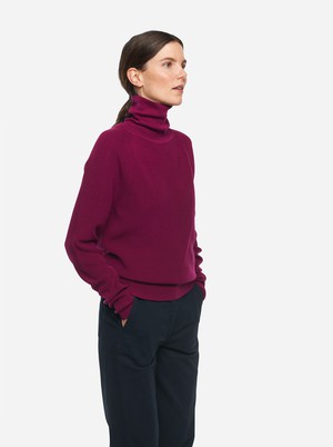 The Turtleneck Sweater from TEYM