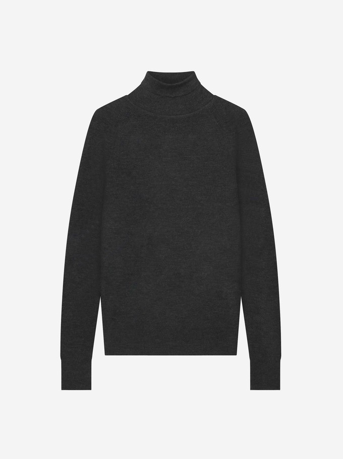 The Turtleneck Sweater from TEYM